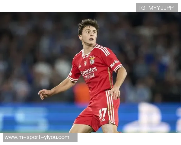 若昂内维斯的足球旅程与未来展望分析